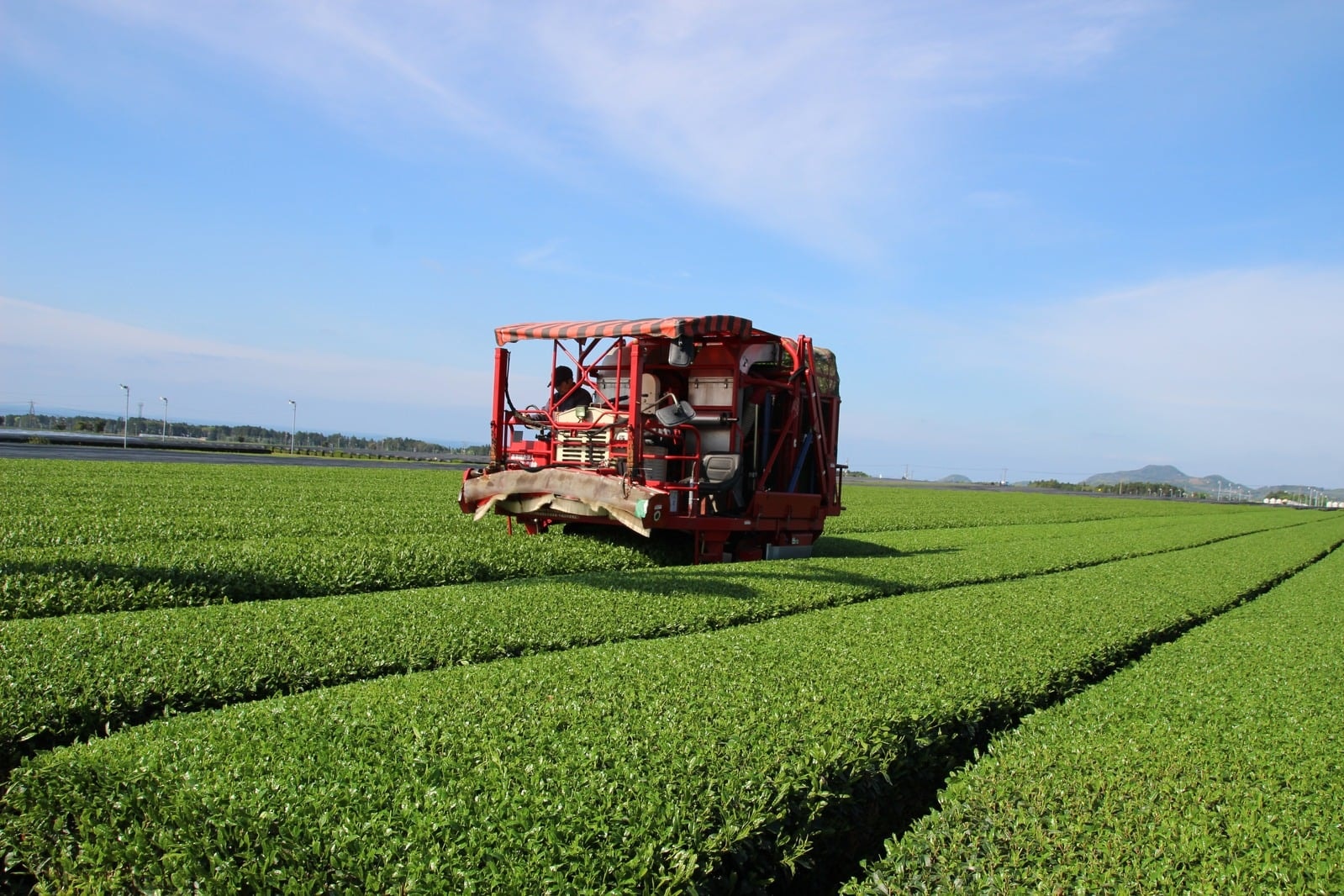A red tea harvesting machine working across rows of tea bushes under a blue sky